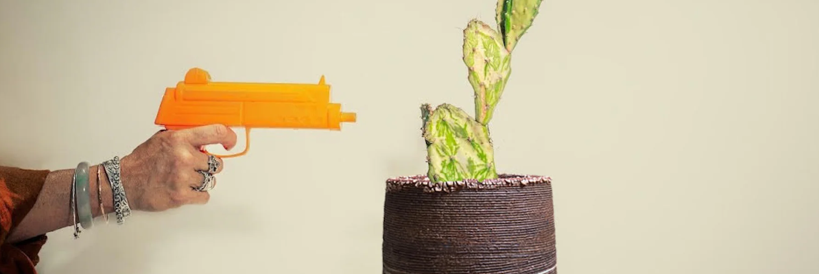 buy stuff or the cactus gets it!